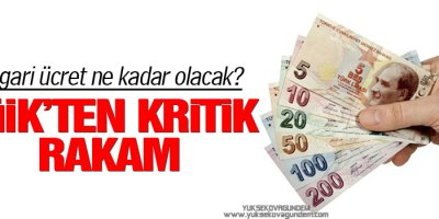 Asgari ücret ne kadar olacak? TÜİK'ten kritik rakam