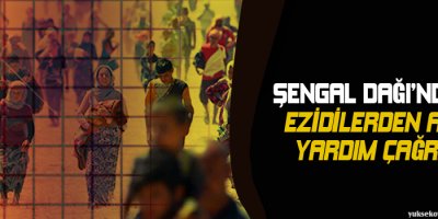 Şengal Dağındaki Êzîdîlerden acil yardım çağrısı