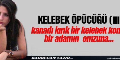 Kelebek Öpücüğü III