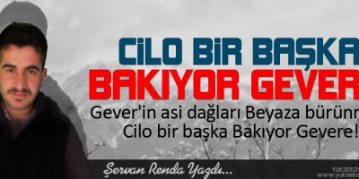 Cilo Bir Başka Bakıyor Gever'e