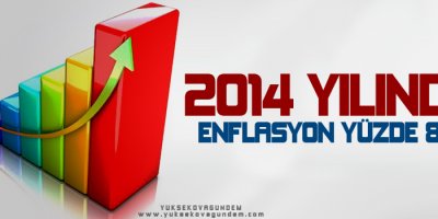 2014 yılında enflasyon yüzde 8,17