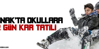 Şırnak'ta okullara 2 gün kar tatili