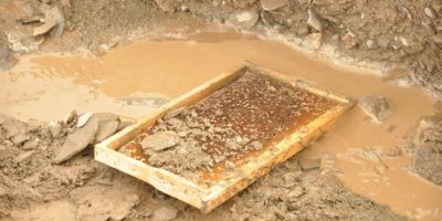 Arı Kovanlarını sel vurdu