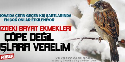 Evinizdeki bayat ekmekleri çöpe değil kuşlara verelim