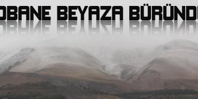 Kobanê beyaza büründü