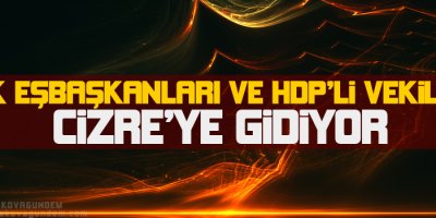 DTK Eşbaşkanları ve HDP'li vekiller Cizre'ye gidiyor