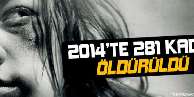2014te 281 kadın öldürüldü