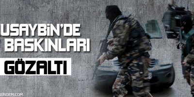 Nusaybin'de 5 gözaltı