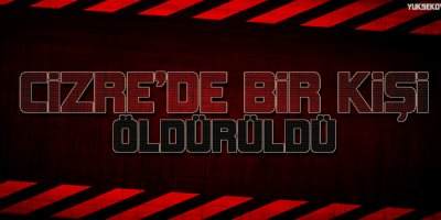 Cizre'de bir kişi daha öldürüldü