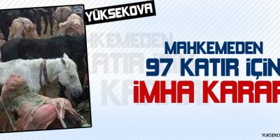Mahkemeden 97 katır için imha kararı
