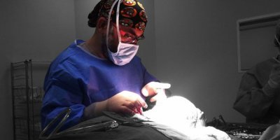 'Elinizde fotoğrafla gitmeyin'