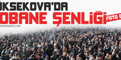 Yüksekova'da Kobanê Şenliği