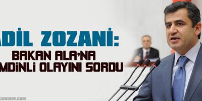 Zozani: Bakan Ala'na Şemdinli olayını sordu