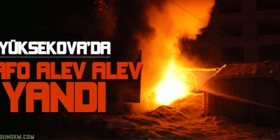 Yüksekovada trafo Alev Alev Yandı!
