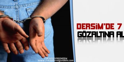 Dersimde 7 kişi gözaltına alındı