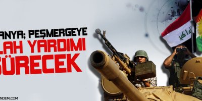 Almanya: Peşmergeye silah yardımı sürecek