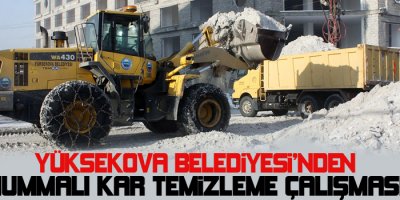 Yüksekova'da Karla Mücadele Çalışması