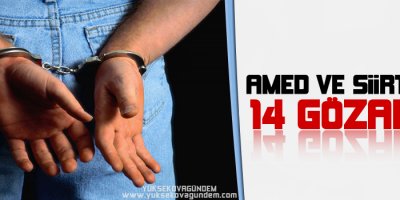 Amed ve Siirtte 14 gözaltı