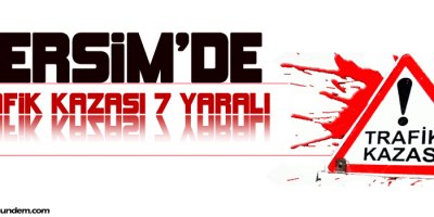 Dersim'de Trafik Kazası: 7 Yaralı