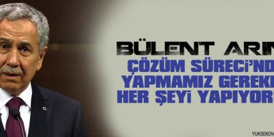 Çözüm Sürecinde yapmamız gereken her şeyi yapıyoruz