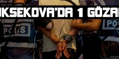 Yüksekova'da 1 gözaltı