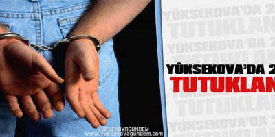 Yüksekova'da 2 Kişi Tutuklandı