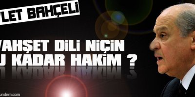 Bahçeli: Vahşet dili niçin bu kadar hakim?