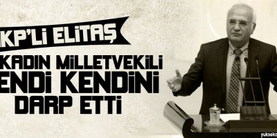 AKP'li Elitaş: İki kadın milletvekili kendi kendini darp etti!