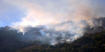 Dersim'de orman yangını