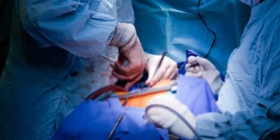 Kalp kapağı artık değiştirilmeden önce tamir ediliyor