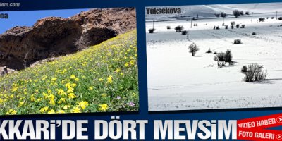 Hakkari'de Dört Mevsim