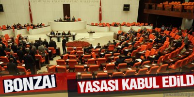 Bonzai yasası kabul edildi