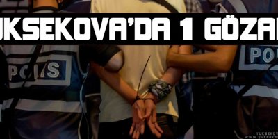 Yüksekova'da 1 kişi gözaltına alındı