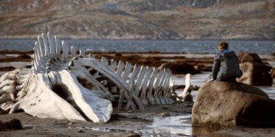 'Leviathan'ın yönetmeni: Olay Türkiye'de de geçebilirdi