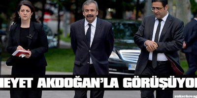 İmralı Heyeti Akdoğanla görüşüyor