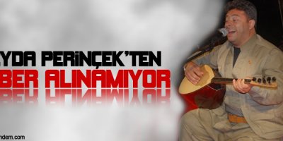 Sanatçı Seyda Perinçekten haber alınamıyor