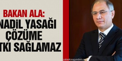 Ala: Anadil yasağı çözüme katkı sağlamaz
