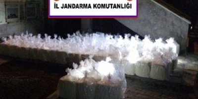 9 ton 733 Kilo kaçak Süt ürünü ele geçirdi