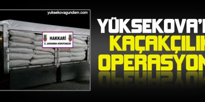 Yüksekova'da 3 ton 348 kilo kaçak çay ele geçirildi