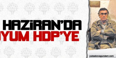 Hasan Cemal: 7 Haziranda oyum HDPye!