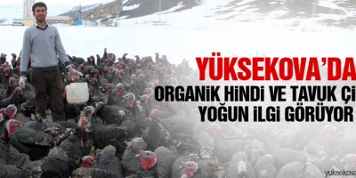 Organik Hindi Ve Tavuk Çiftliği Yoğun İlgi Görüyor