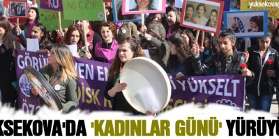 Yüksekova'da 'Kadınlar Günü' yürüyüşü