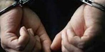 Dersim'de 1 kişi tutuklandı