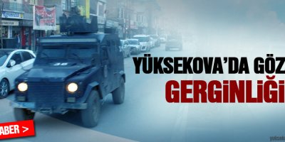Yüksekova'da Gözaltı Gerginliği