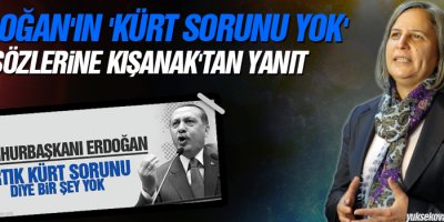 Erdoğan'ın 'Kürt sorunu yok' sözlerine Kışanak'tan yanıt
