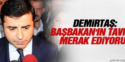 Demirtaş: Başbakan'ın tavrını merak ediyoruz