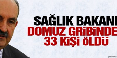 Sağlık Bakanı: Domuz gribinden 33 kişi öldü