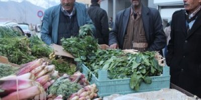 Yılın ilk pancarı tezgahlarda yerine aldı