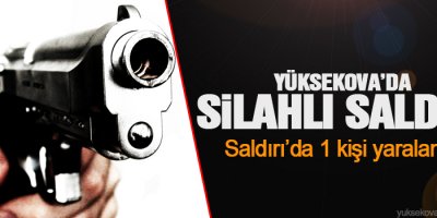 Yüksekova'da Silahlı Saldırı
