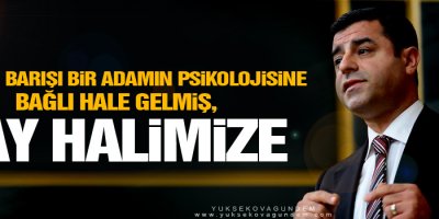 Bir adamın psikolojisine bağlı Bir barış, Vay halimize